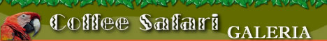 Coffee Safari Galeria
